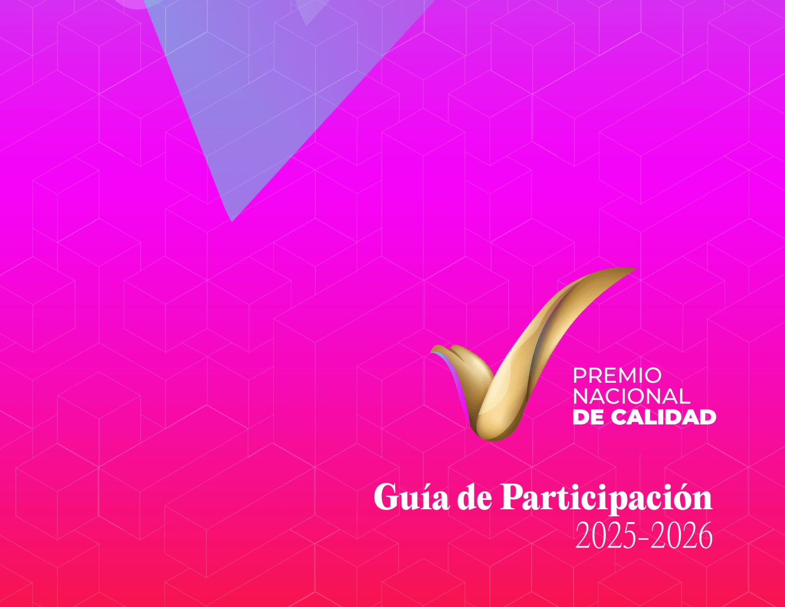 https://ifc.org.mx/wp-content/uploads/2025/07/portada-Guia-participacion-07.png