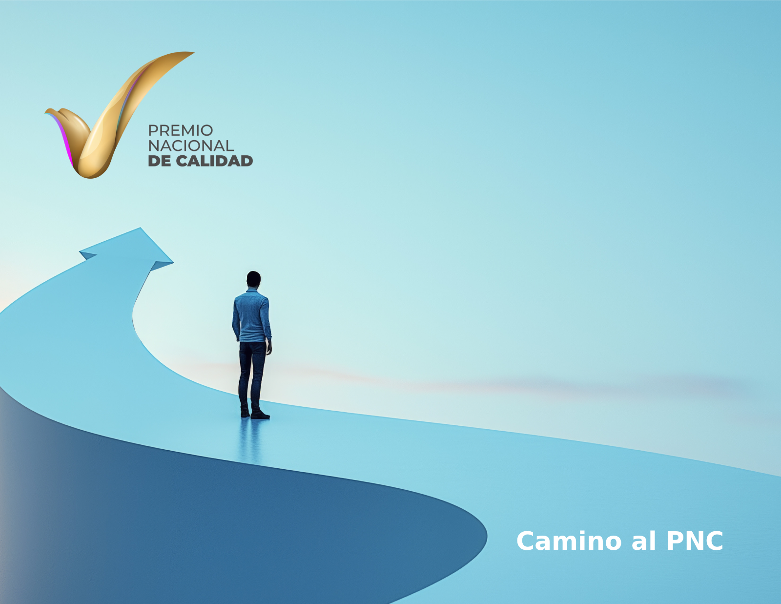 https://ifc.org.mx/wp-content/uploads/2025/08/portada-camino-al-PNC-2.png